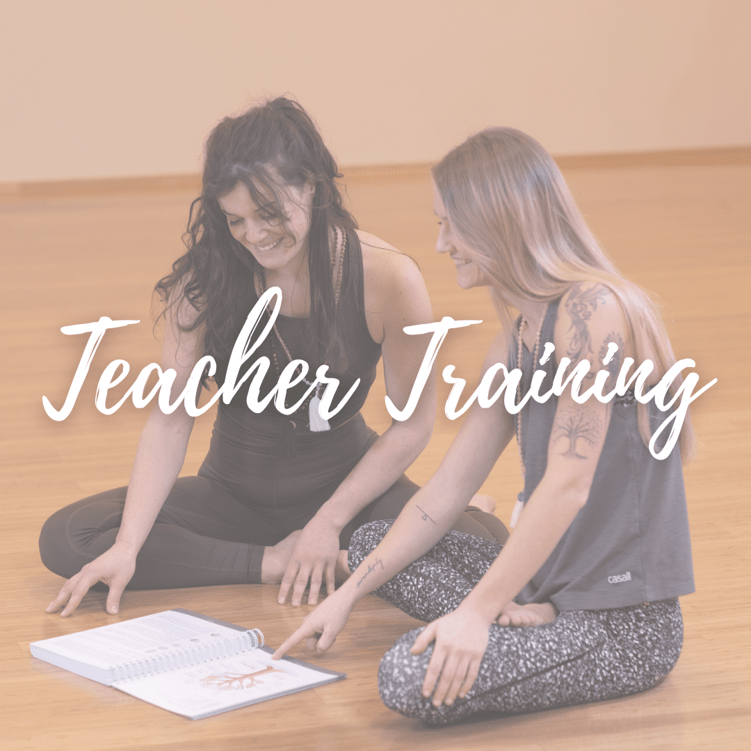 Teacher Training Newsletter